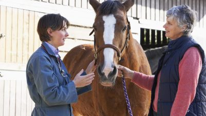 Women talking with horse