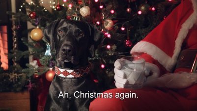 Petfished screenshot of Defra campaign