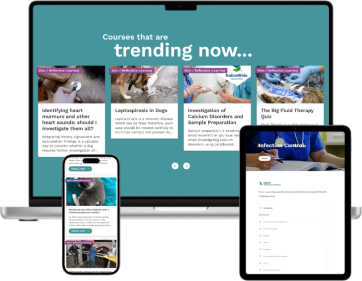 Hardware disease in cattle not a straightforward diagnosis