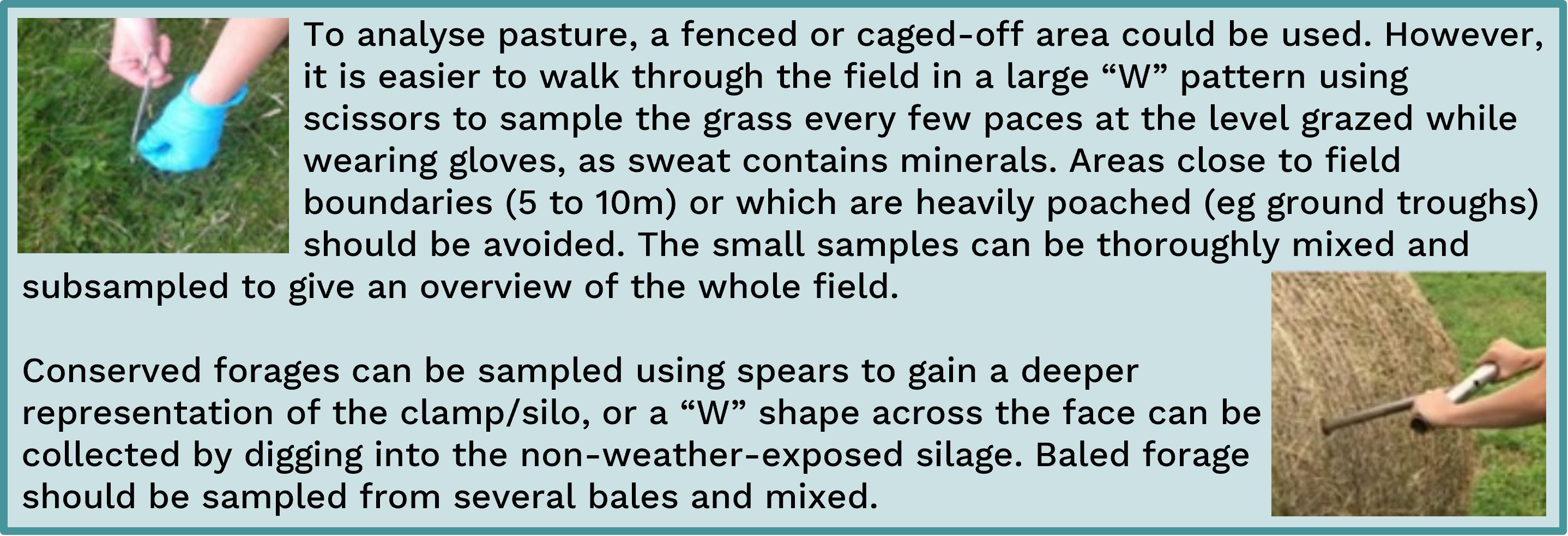 How and why should we determine mineral status in ruminants ...